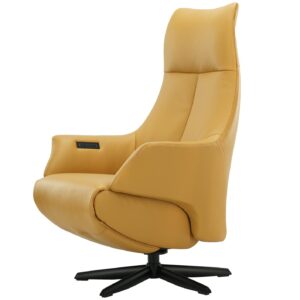 Relaxfauteuil Twice Pro 145 - De Toekomst